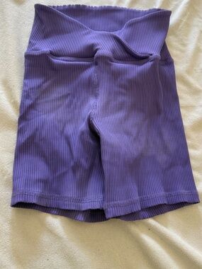 STRUT-THIS Shorts Purple (Size Small)